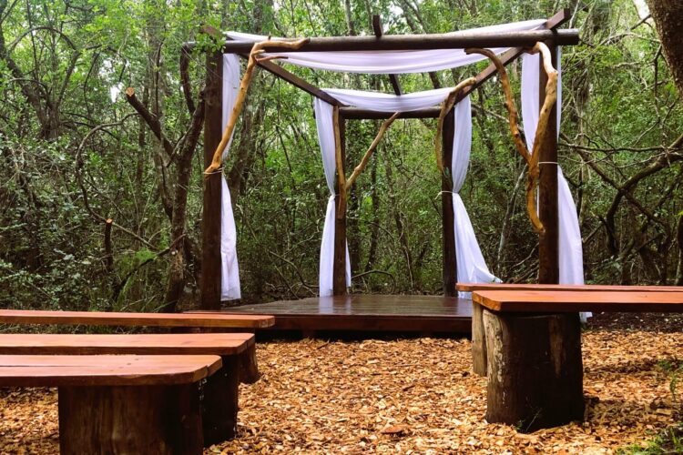 Teniqua Treetops Wilderness Weddings