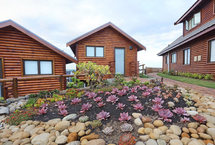 Brenton on Sea Cottages (7)