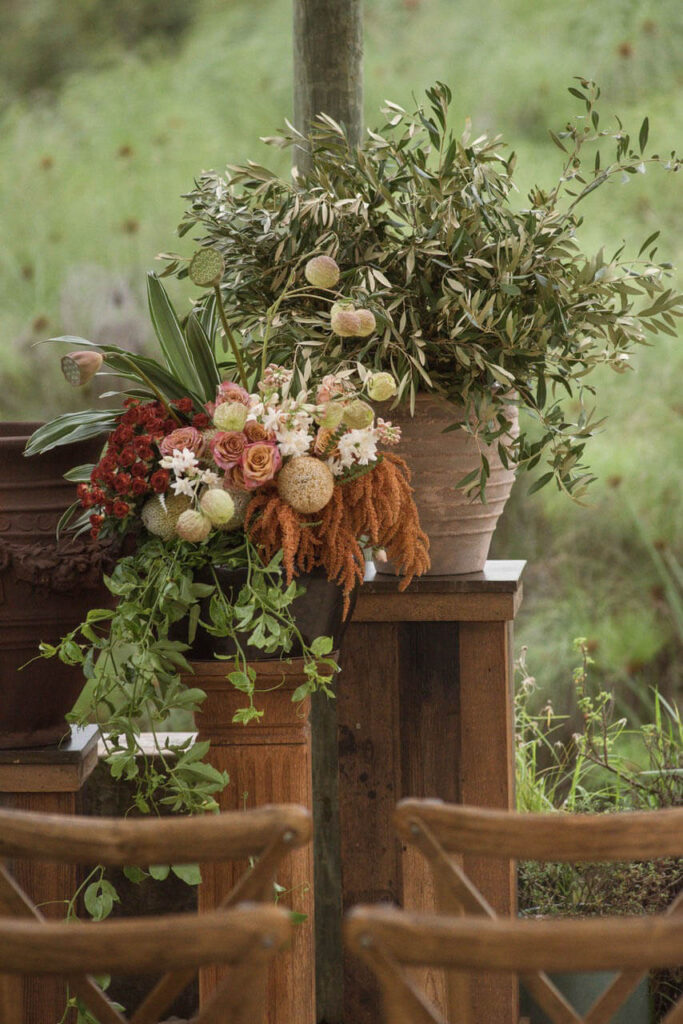 Ecozest Flowers (3)