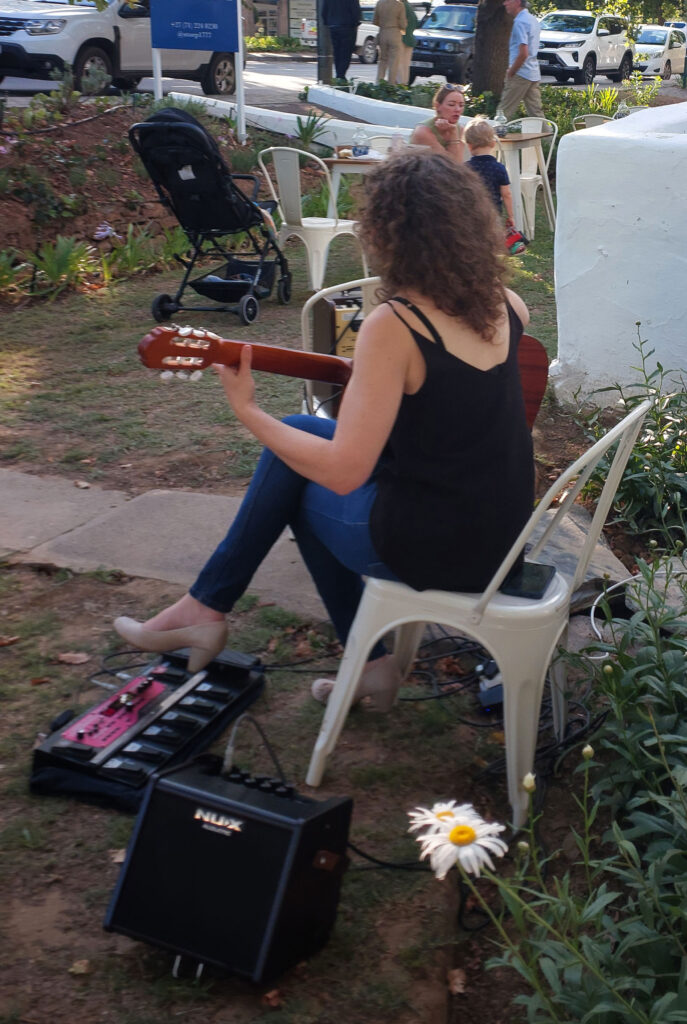 Vicci Guitar