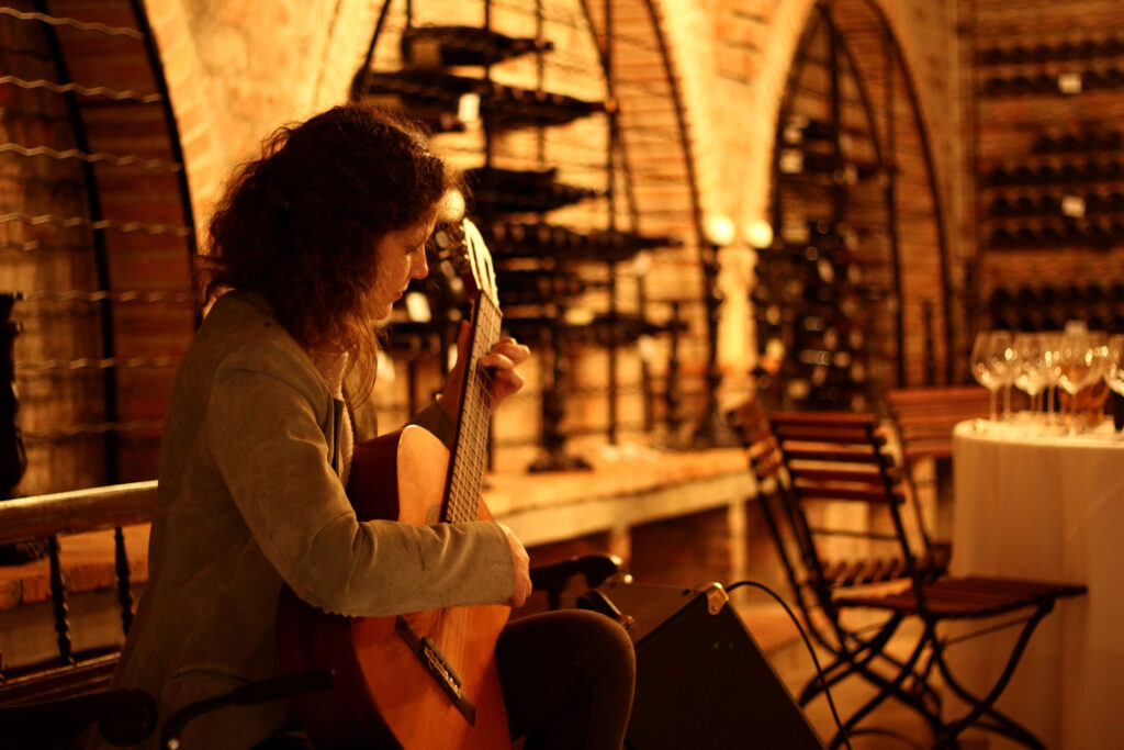 Vicci Guitar (5)