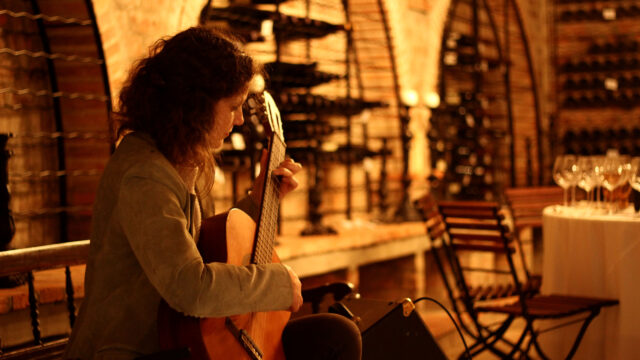 Vicci Guitar (5)