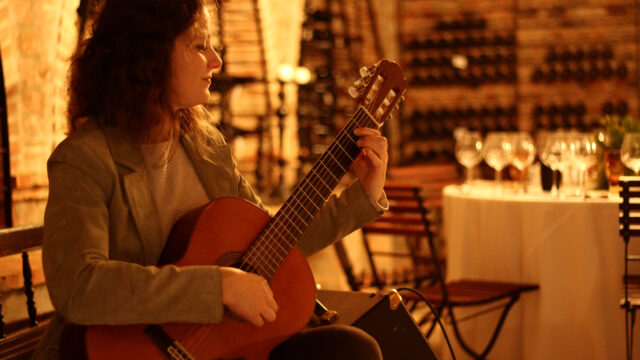 Vicci Guitar (6)